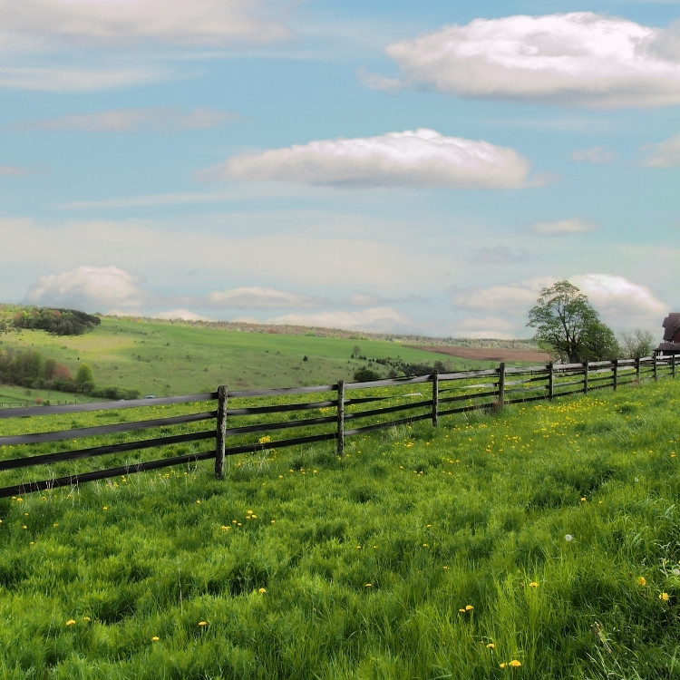 Investment solutions services in Duluth, GA Investment solutions services in Duluth, GA