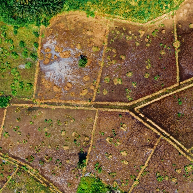 Investment solutions services in Duluth, GA Investment solutions services in Duluth, GA